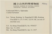 登錄號:A00005575藏品圖，第2張