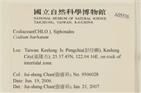 登錄號:A00005576藏品圖，第2張