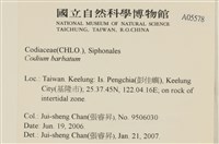 登錄號:A00005578藏品圖，第2張