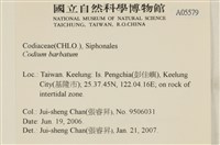 登錄號:A00005579藏品圖，第2張