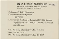 登錄號:A00005580藏品圖，第2張