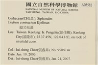 登錄號:A00005582藏品圖，第2張