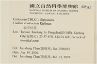 登錄號:A00005583藏品圖，第2張