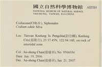 登錄號:A00005584藏品圖，第2張