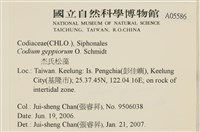 登錄號:A00005586藏品圖，第2張