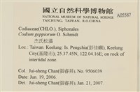 登錄號:A00005587藏品圖，第2張