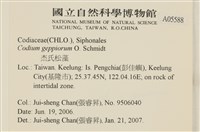 登錄號:A00005588藏品圖，第2張