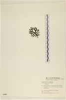 登錄號:A00005588藏品圖，第3張