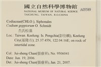 登錄號:A00005589藏品圖，第2張