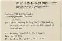 登錄號:A00005590藏品圖，第2張
