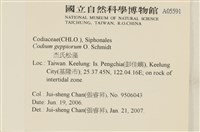 登錄號:A00005591藏品圖，第2張