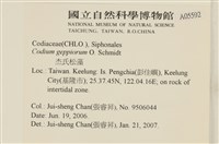 登錄號:A00005592藏品圖，第2張