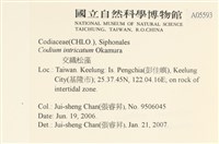 登錄號:A00005593藏品圖，第2張