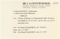 登錄號:A00005595藏品圖，第2張