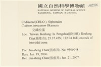 登錄號:A00005596藏品圖，第2張