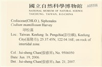 登錄號:A00005598藏品圖，第2張