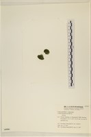 登錄號:A00005599藏品圖，第3張