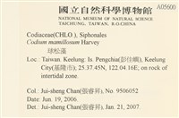 登錄號:A00005600藏品圖，第2張