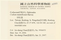 登錄號:A00005601藏品圖，第2張