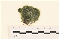 登錄號:A00005601藏品圖，第1張