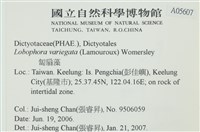 登錄號:A00005607藏品圖，第2張