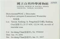 登錄號:A00005608藏品圖，第2張