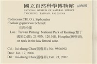 登錄號:A00005640藏品圖，第2張