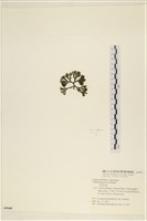 登錄號:A00005640藏品圖，第3張