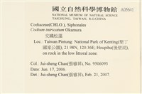 登錄號:A00005641藏品圖，第2張