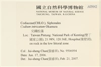 登錄號:A00005642藏品圖，第2張