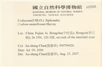 登錄號:A00005688藏品圖，第2張