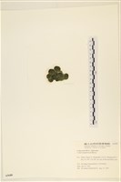 登錄號:A00005688藏品圖，第3張