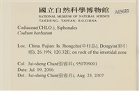 登錄號:A00005689藏品圖，第2張