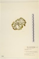 登錄號:A00005689藏品圖，第3張