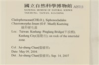 登錄號:A00005713藏品圖，第2張