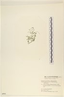 登錄號:A00005713藏品圖，第3張