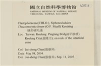 登錄號:A00005714藏品圖，第2張