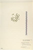 登錄號:A00005714藏品圖，第3張