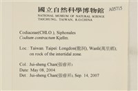 登錄號:A00005715藏品圖，第2張