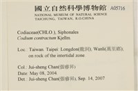 登錄號:A00005716藏品圖，第2張