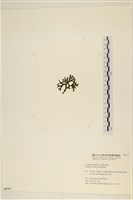 登錄號:A00005717藏品圖，第3張