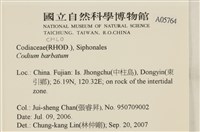 登錄號:A00005764藏品圖，第2張