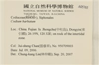 登錄號:A00005765藏品圖，第2張