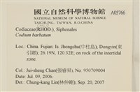 登錄號:A00005766藏品圖，第2張
