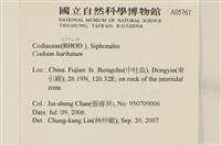 登錄號:A00005767藏品圖，第2張