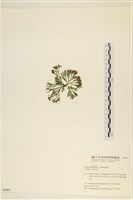 登錄號:A00005767藏品圖，第3張