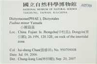 小團扇藻藏品圖，第2張