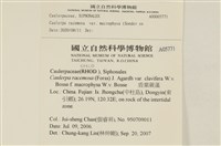 登錄號:A00005771藏品圖，第2張