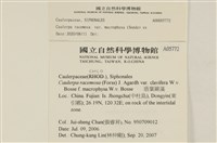 登錄號:A00005772藏品圖，第2張