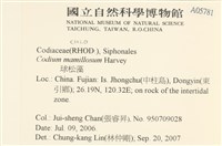 登錄號:A00005781藏品圖，第2張